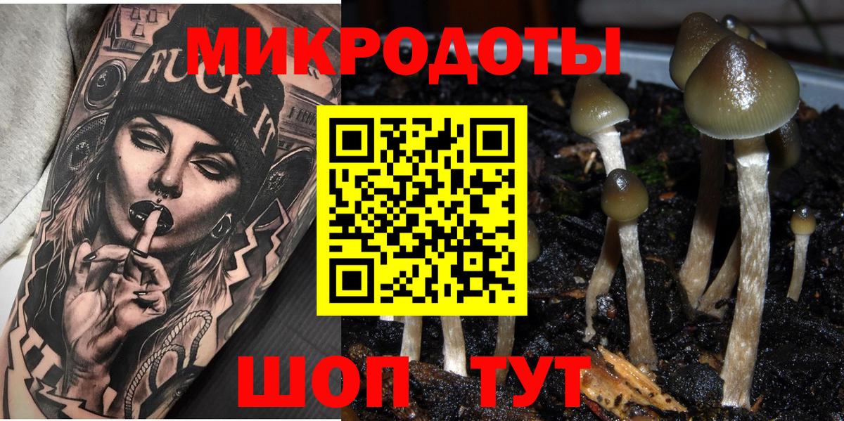 Великий Новгород  Галлюциногенные грибы MAGIC MUSHROOMS  где купить наркоту  Вход с VPN 