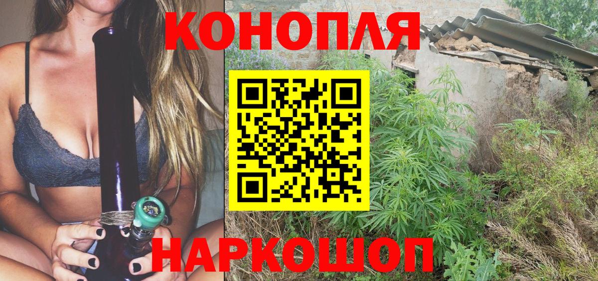 Канабис AK-47  Канабис White Widow  Бошки Шишки план  Великий Новгород  Вход с VPN 